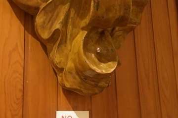 Santa Rita de guardia, no cierra ni con el coronavirus (Foto TA)